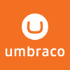 Umbraco CMS: The Pros and Cons You Need to Know